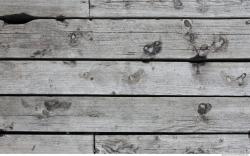 Photo Textures of Wood Planks